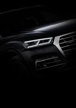 Audi Q5 TDI Quattro 2016 года (WW)